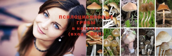 MDMA Premium VHQ Куйбышев