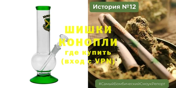 крисы Кулебаки