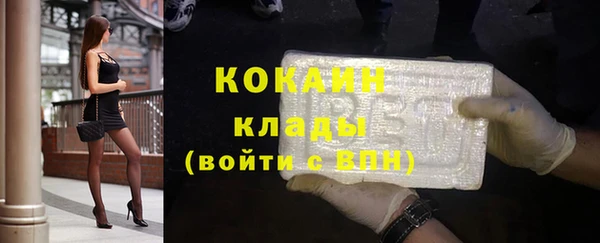 крисы Кулебаки