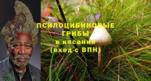 крисы Кулебаки