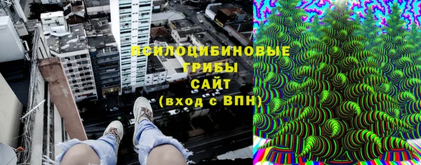 крисы Кулебаки