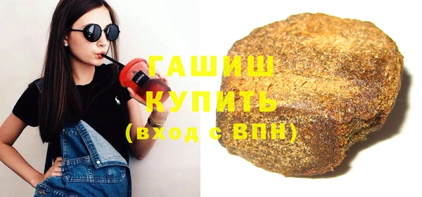 крисы Кулебаки