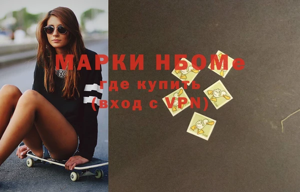 крисы Кулебаки