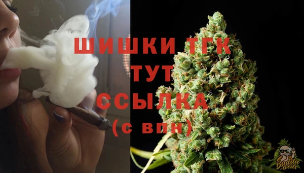 крисы Кулебаки