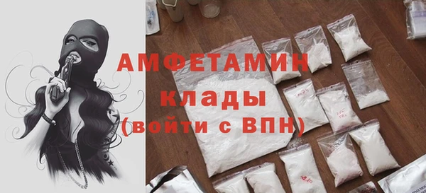 крисы Кулебаки