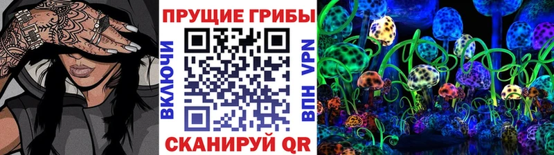 Галлюциногенные грибы Psilocybe  Купить где  Тамбов 